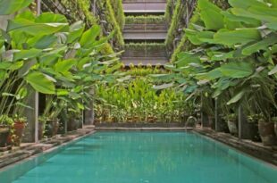 Greenhost Boutique Hotel Prawirotaman