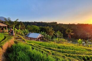 Hara Bali Eco Homestay
