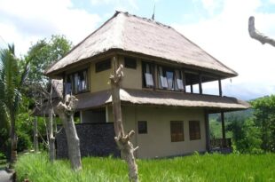 Kubu Tani