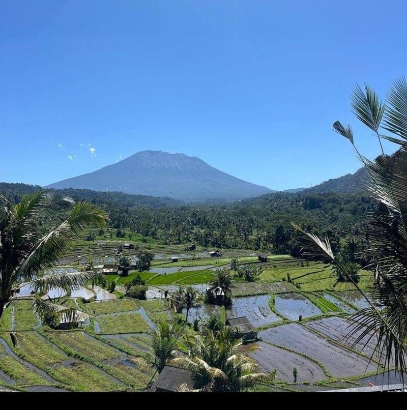 Lumbung ayu sari and spa