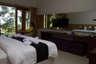 Mandhasativa Homestay