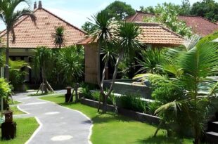 Medori Putih Homestay