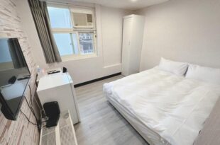 新獅城商務旅館New Lion City Hotel