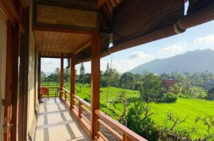 Noka Homestay
