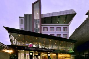 Oak Tree Urban Hotel Jakarta
