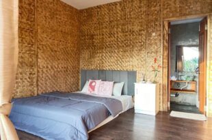 Paddies Homestay New