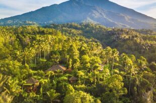 Sarinbuana Eco Lodge