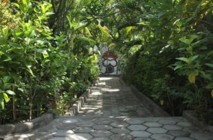 Scuba Tribe Bali Family Room