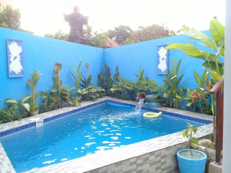 Serangan Turtle Island Hostel
