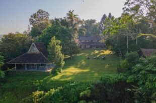Temuku Pupuan Organic Farm Retreat