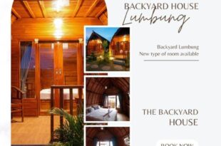 The Backyard House