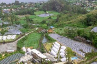 The Dewi Kintamani