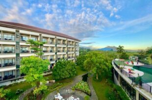 The Green Peak, ARTOTEL Curated