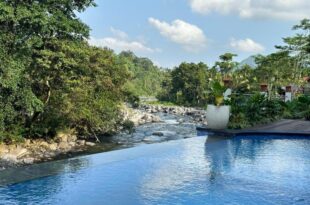 Uma Swari Villa Sidemen
