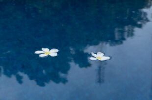 Umahita Lodge Penida