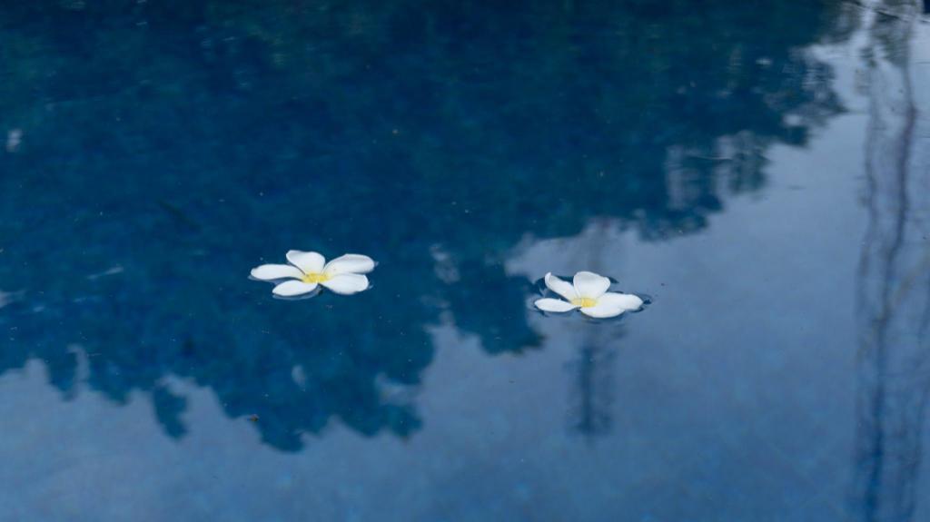 Umahita Lodge Penida