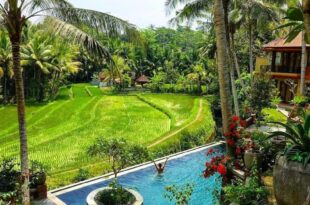 Umasari Rice Terrace Villa by AGATA