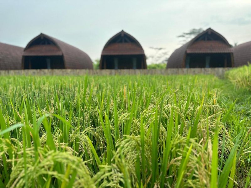 Villa Lumbung Sidemen