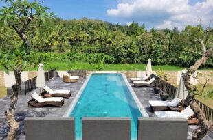 Villa Norwegia -pool with panorama rice field view