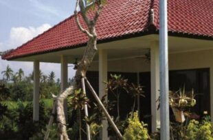 Villa Ombak Kedungu