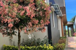 Villa Ophelia at Vimala Hills