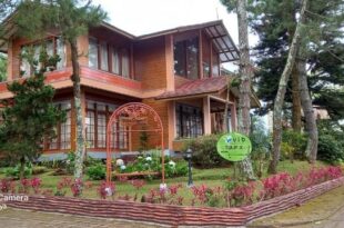 Villa Tulip