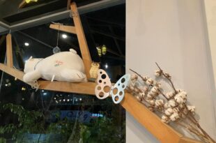 晟品溫泉湯旅 宜蘭縣058號