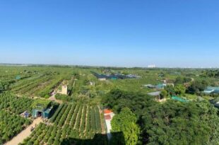 26451 Panorama green view studio