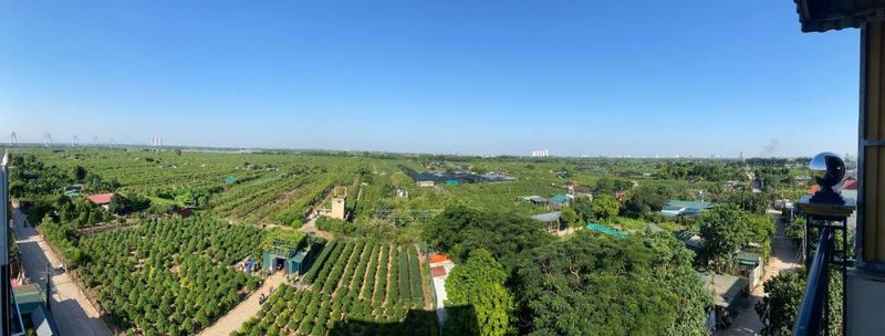 26451 Panorama green view studio