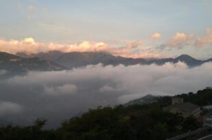 31 Homestay