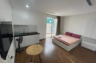 67141 BR Apt Cozy Ho Tay balcony full natural light