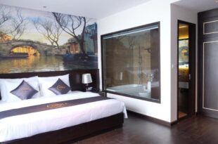 Aisha House and Apartment