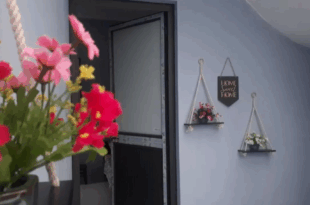 alley homestay