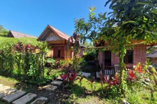 Ariel Bungalow Tetebatu