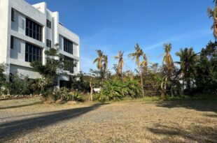 Baisha 35 Homestay