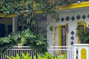 Banana Homestay, Glagah