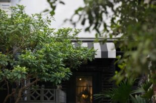 Birdeye Garden