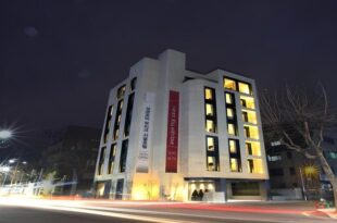 Borjomi Boutique Seoul Hotel