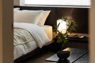 Breezy Gwanghui essay