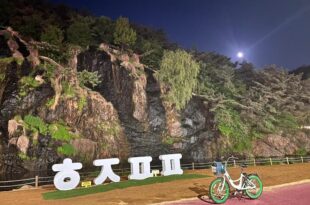 Bueno Day – Near Hongdae & Historic Sites