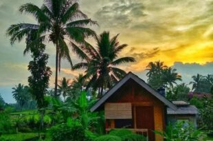 Citra Homestay