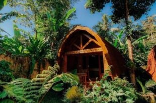 Coffee Homestay Tetebatu
