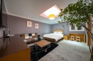 Damian Gangnam Hotel