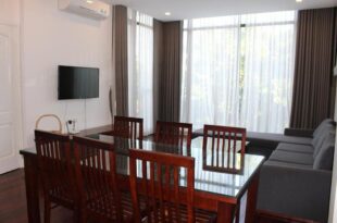 Davidduc ‘s Spacious Apartment -46 Xom Chua