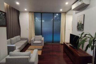 Davidduc’s Luxury Apartment 15/41 Tay Ho