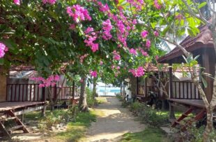 Dessert Point Bungalow