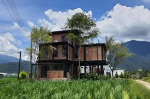 缽割貓點點 青旅 DianDian hostel