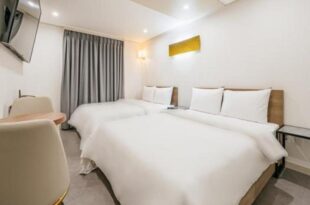 Dongdaemun History and Culture Park Station Hotel Stay-in