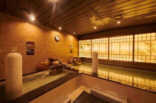 Dormy Inn EXPRESS SEOUL Insadong