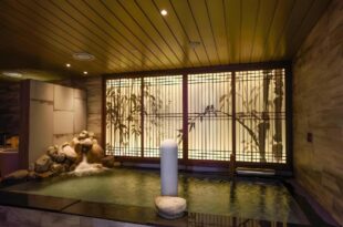 Dormy Inn SEOUL Gangnam